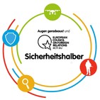 #8: Deutschland im UN-Sicherheitsrat und Bilanz der deutschen Auslandseinsätze