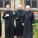 Homily Sunday 6 A 2020
