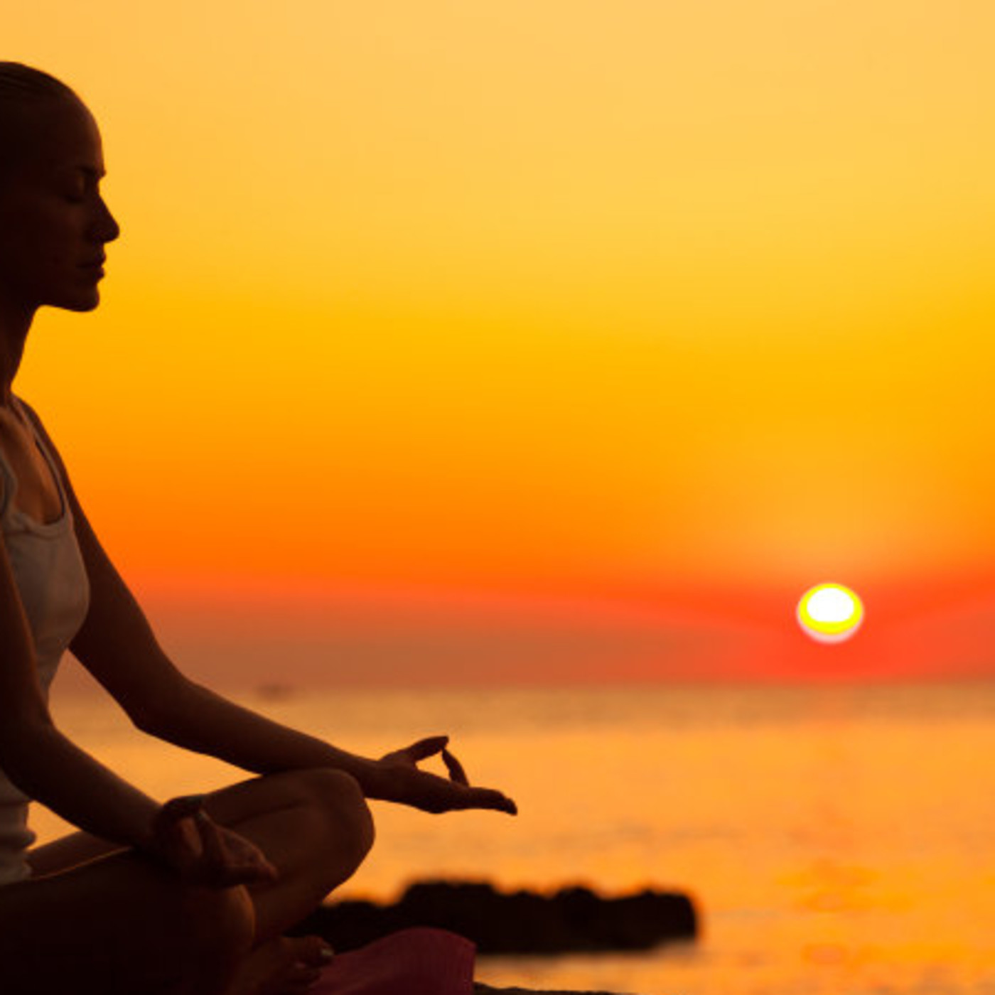 Verónica  Lillo Solis Mindfulness