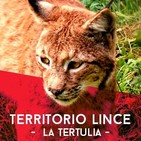 Territorio lince tertulia 28-02
