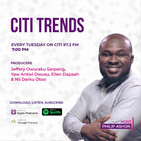#CitiTrends S05 Ep25: Making borderless payments a reality