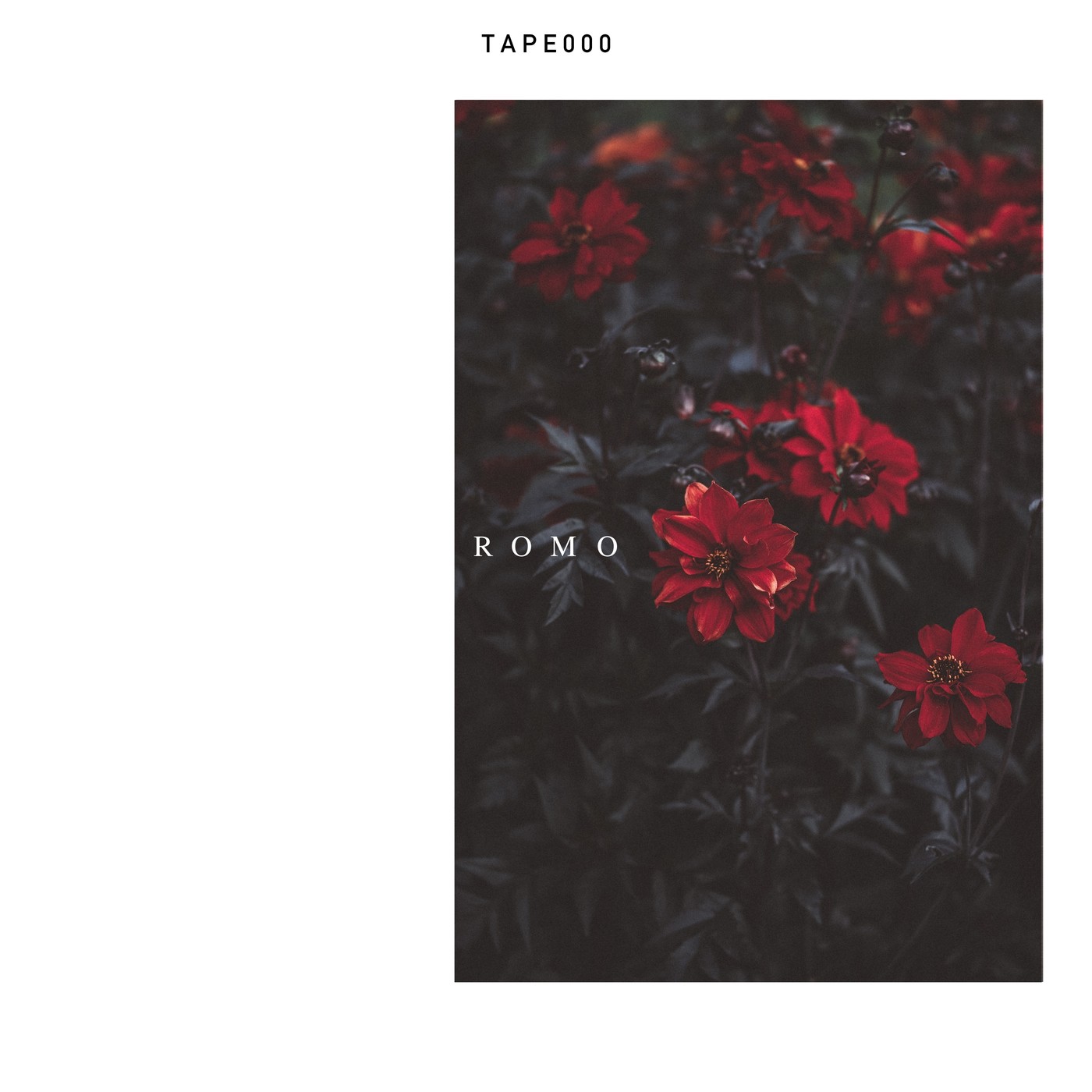 TAPE 000 