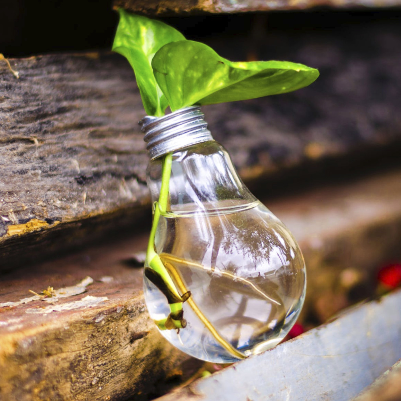 Promos marzo 2020: Agua eres... somos