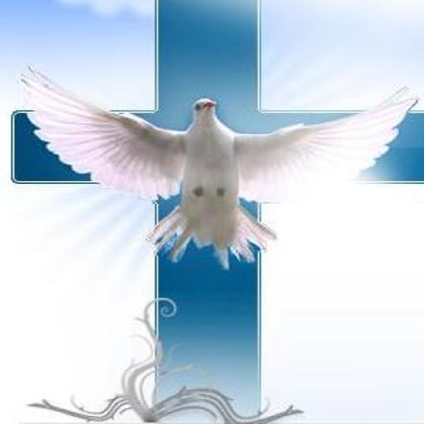 Desierto de Adviento