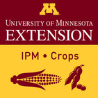 Episode 7: Black Cutworm and Other Early Season Pest Management