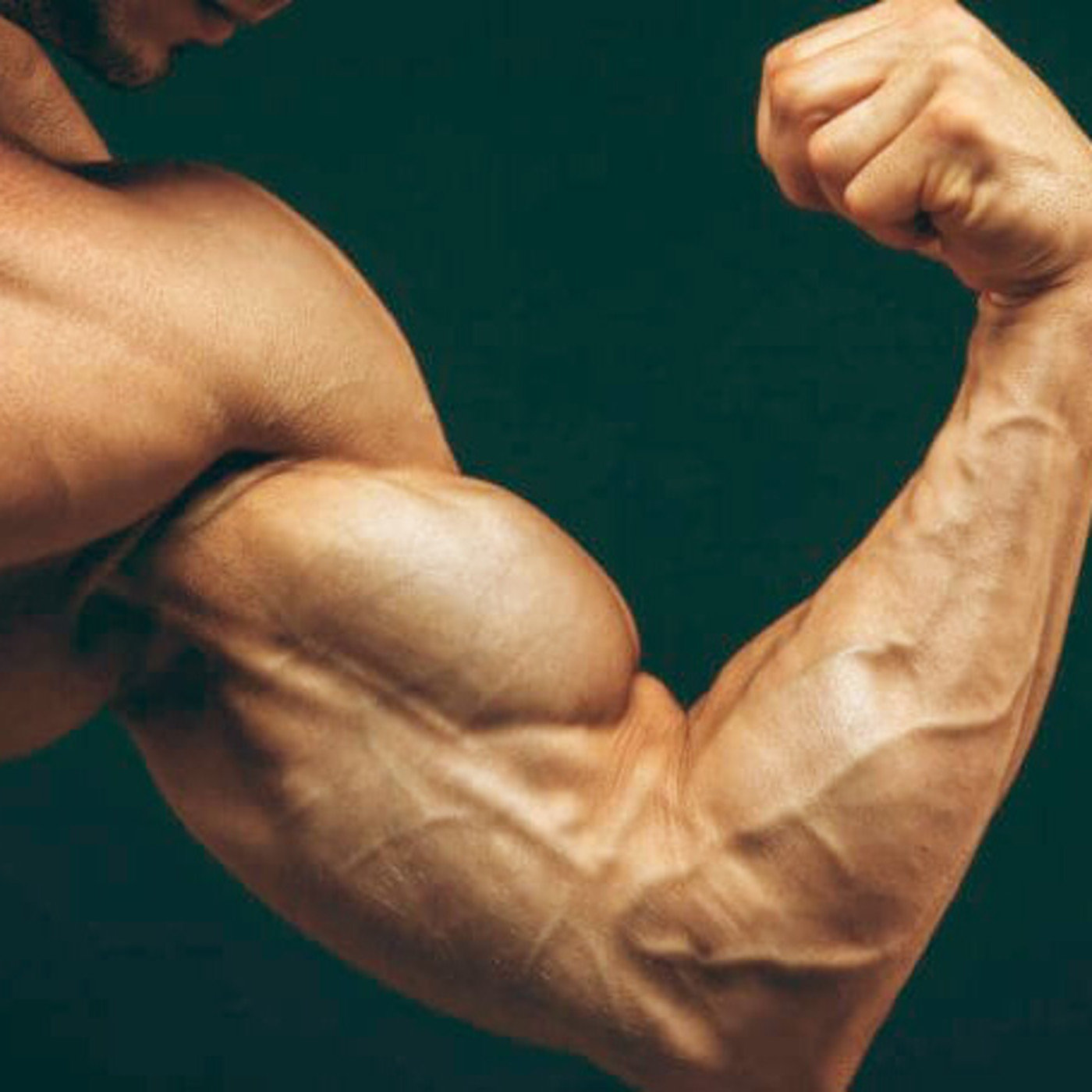 EL PROGRAMA DE LA HIPERTROFIA