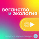 Может ли общепит быm