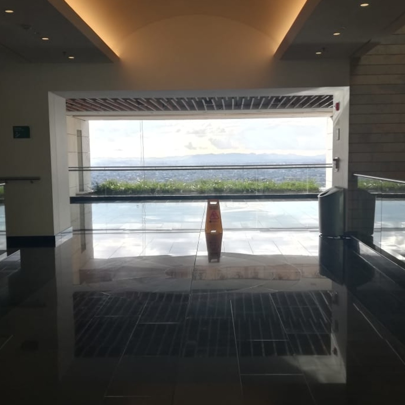 Entrevistas Reportaje plagio