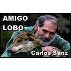 Entrevista a Carlos Sanz - Centro del Lobo Ibérico de Robledo (Radio Zamora 21.10.15)