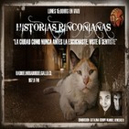 Mujeres Chilenas, historias olvidadas