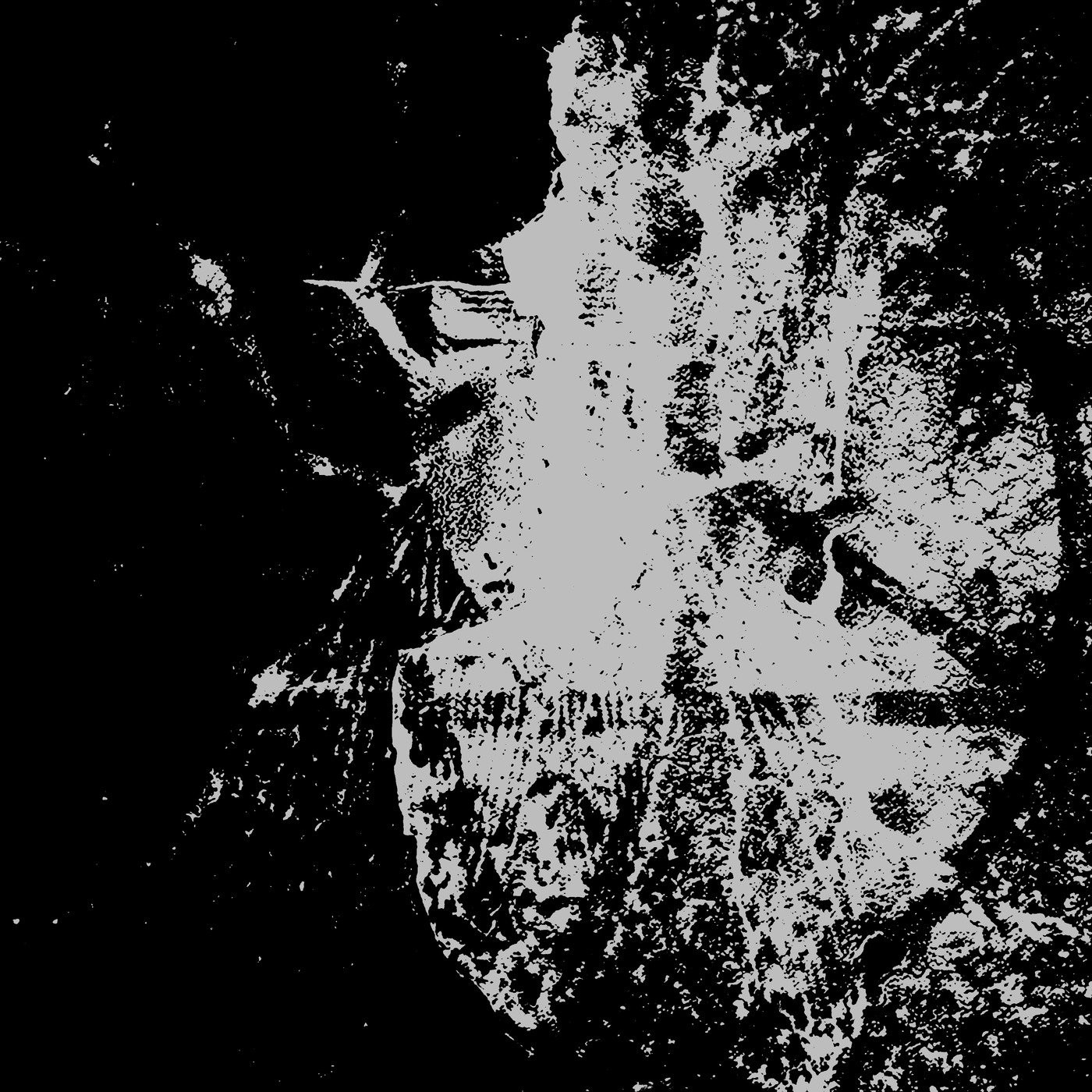 Zann's Music Drone & Ambient Set
