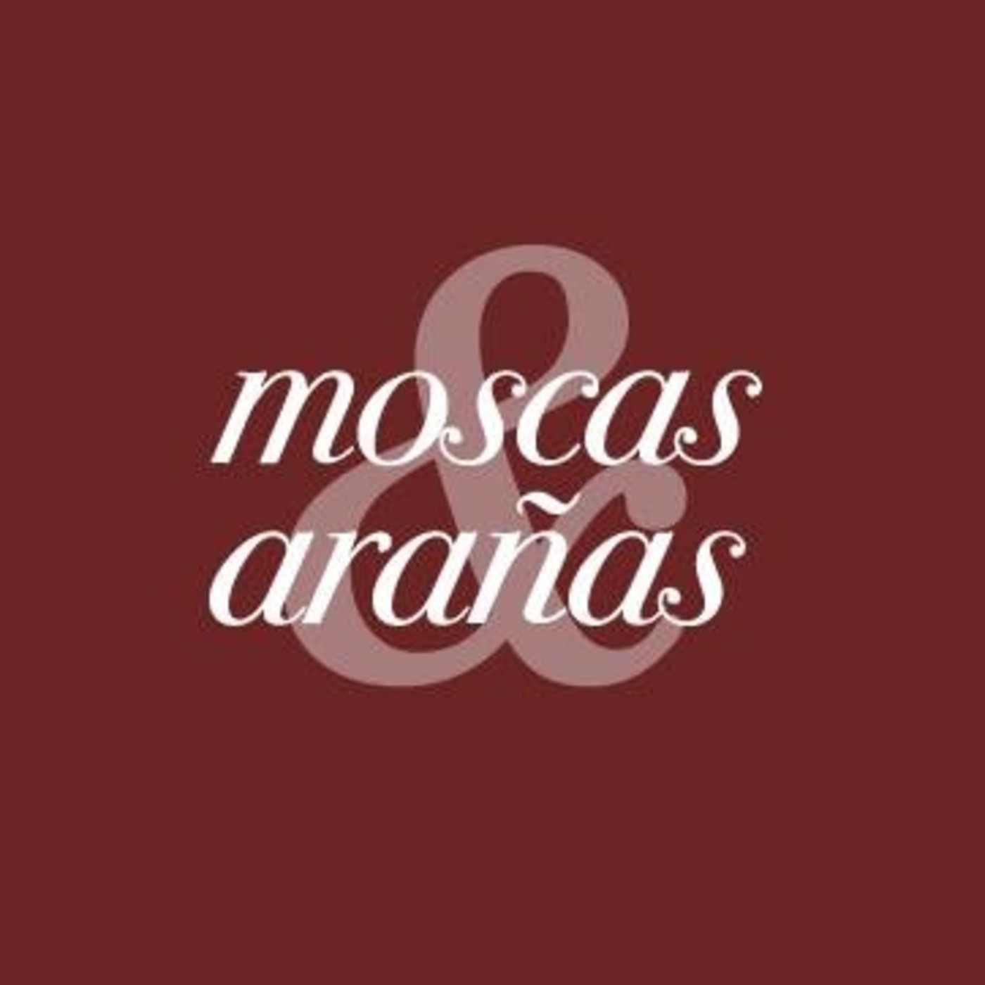 Moscas y Arañas