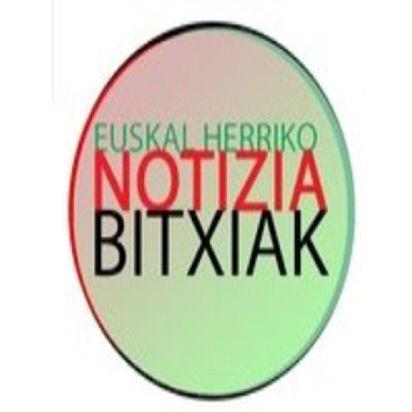 Euskal Herriko Notizia Bitxiak