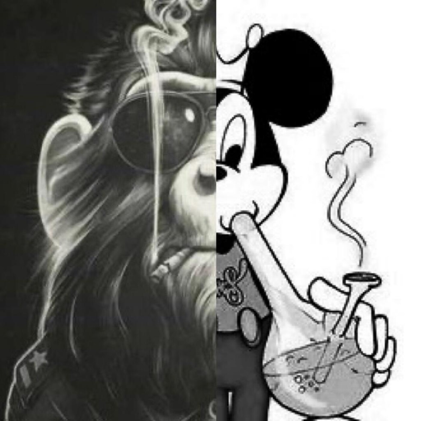 Entre el mono y la rata