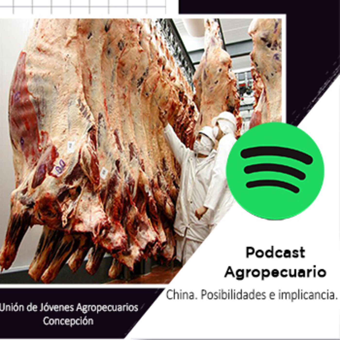 Unión de Jóvenes Agropecuarios Concepción