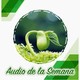 Audio de la Semana 15