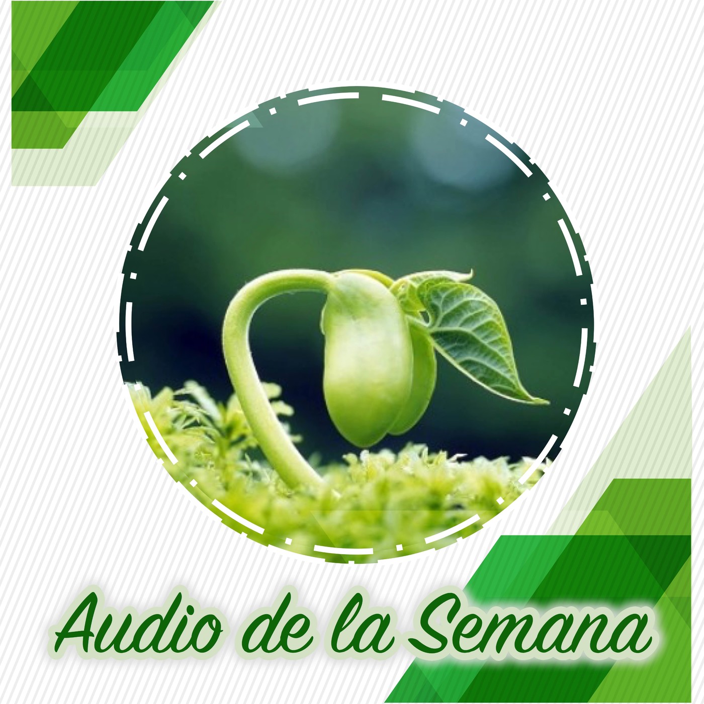 Audio de la Semana 1º Año