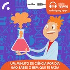 Porque é que o mar é salgado?