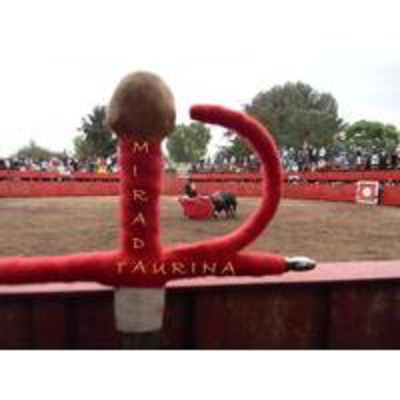 Programa Mirada Taurina