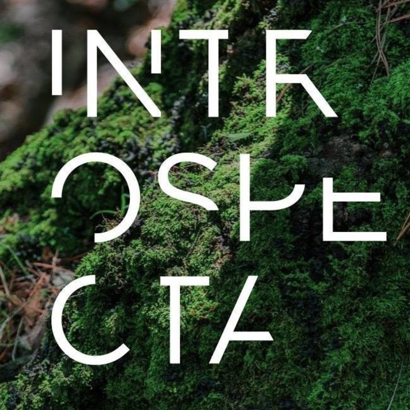 INTROSPECTALKS