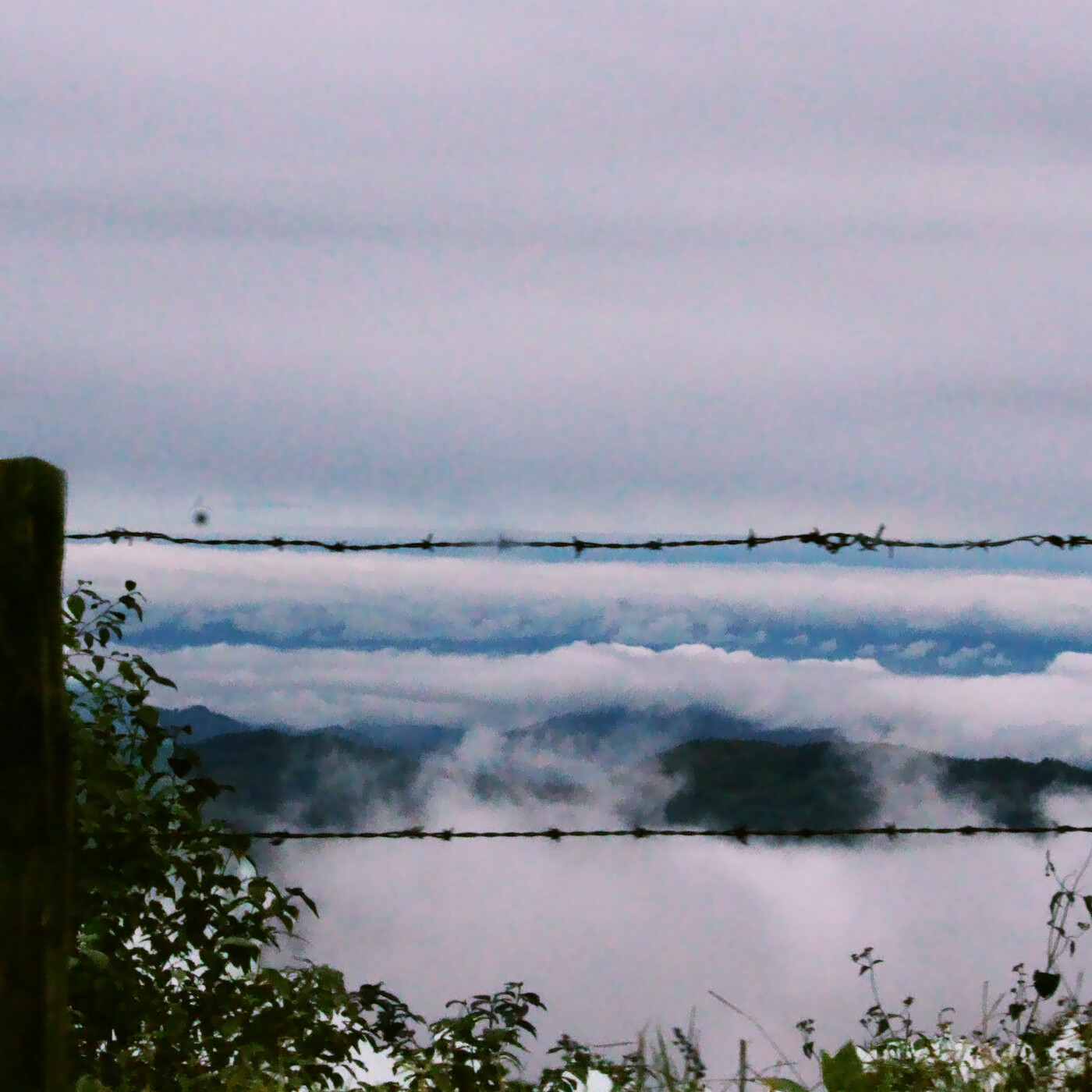 Lo Que La Cámara No Puede Captar