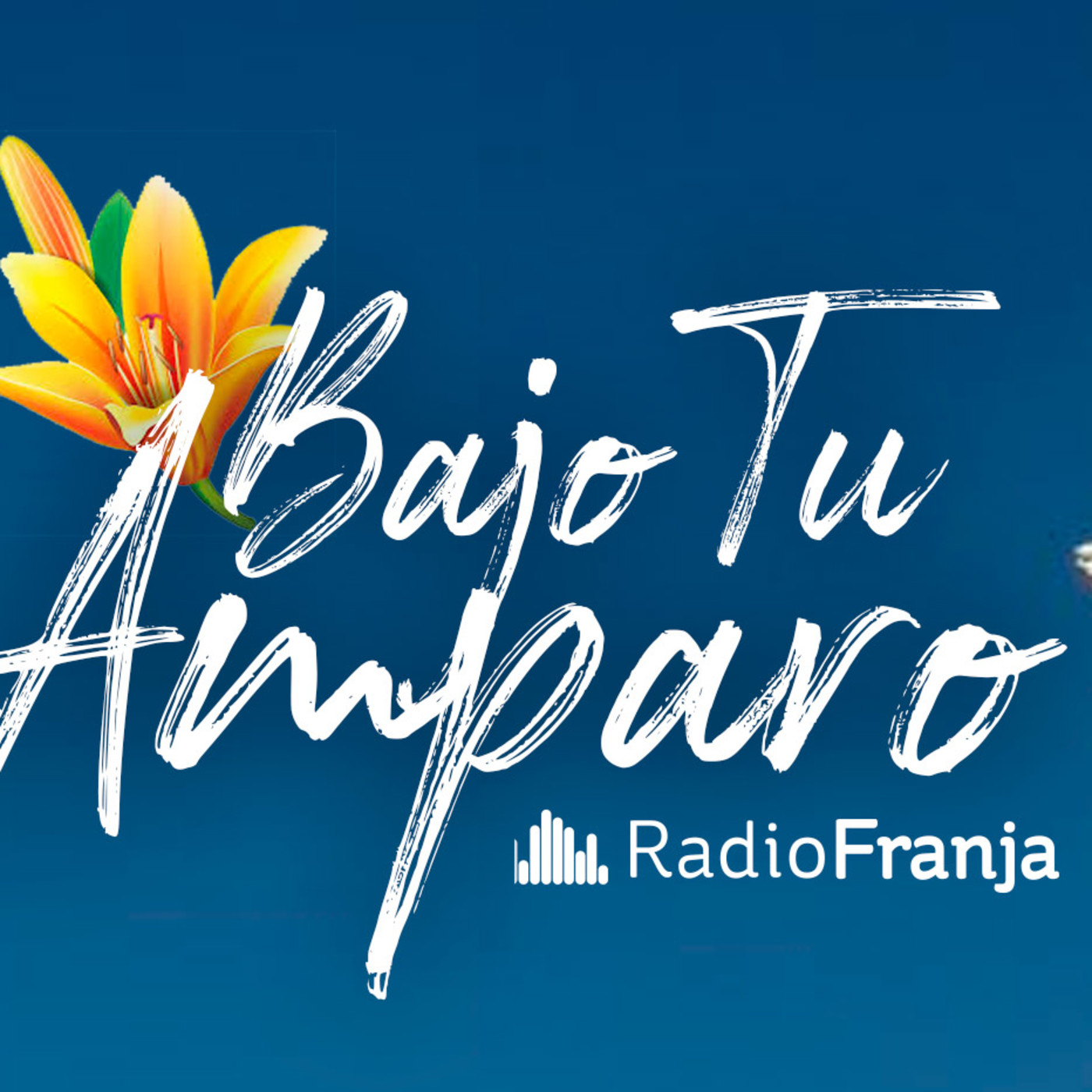 Bajo tu Amparo
