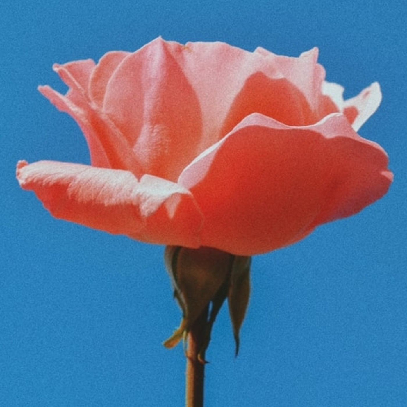 slowed songs (4)