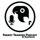 Adding A NEW Parrot To Your Flock