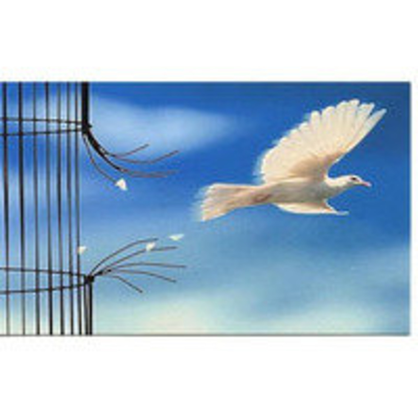 Podcast SynapseFreedom