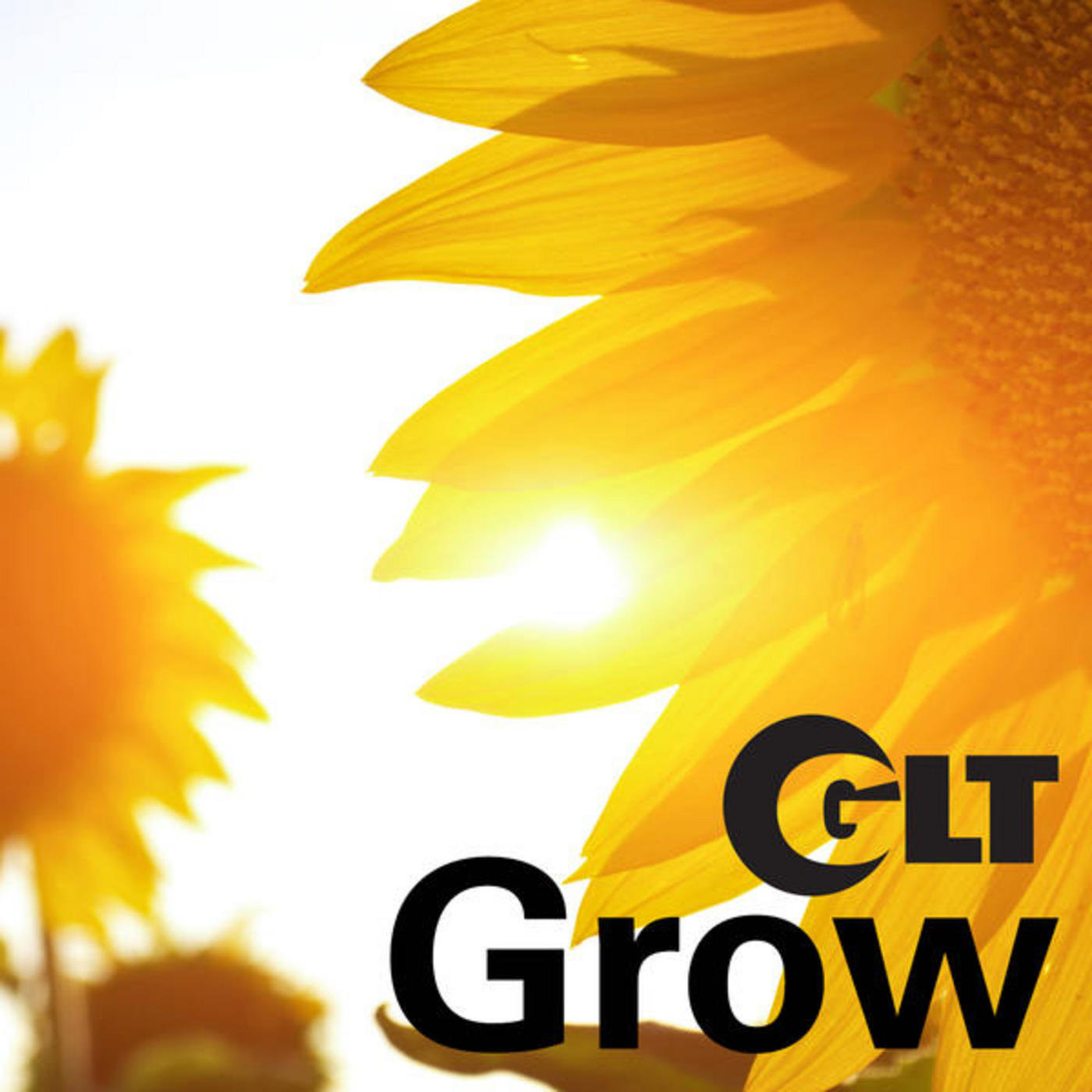 Gardening with GLT\'s Grow