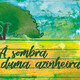 À sombra duma azinheira (06/08/20)