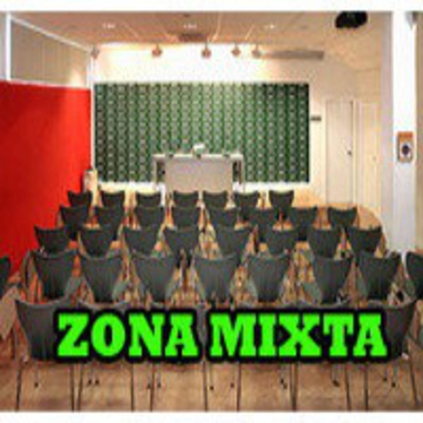 Zona Mixta