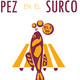 embed image