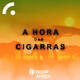 Resumo do programa nº 1105