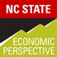 How Were Stimulus Checks Used?