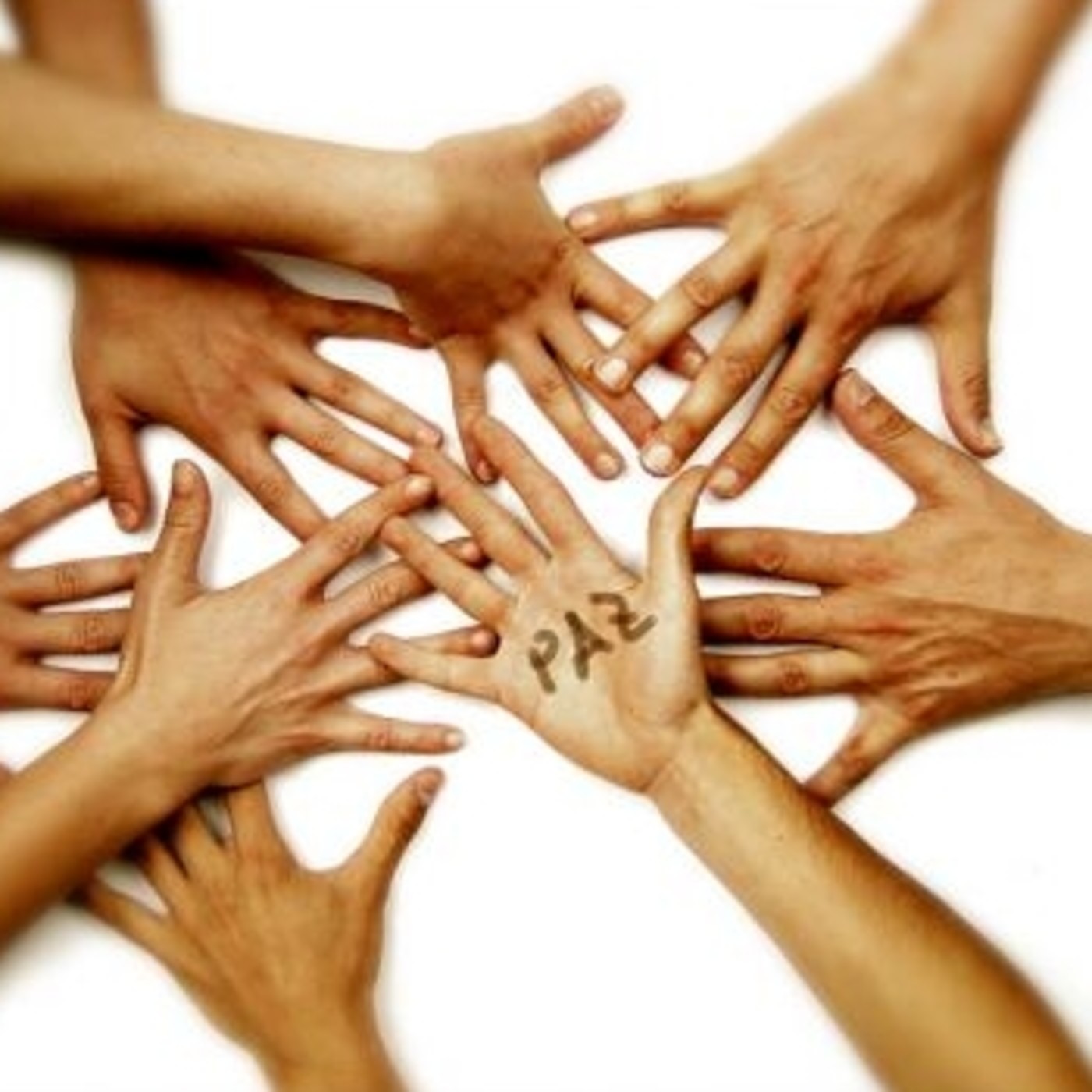 Zonas Horarias: Campaña Diciembre  2016