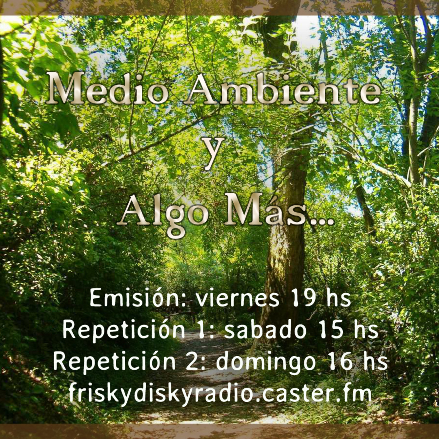 Medio Ambiente y Algo +