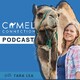#47 Camel Training Lies & Myths
