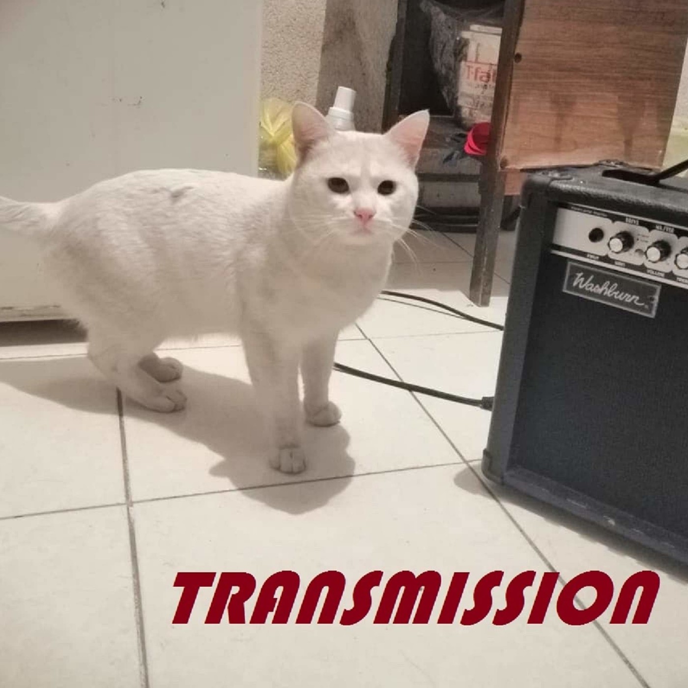 Transmission