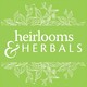 Rose - Rosa - Herbal Wisdom