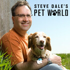SDPW: Show #538