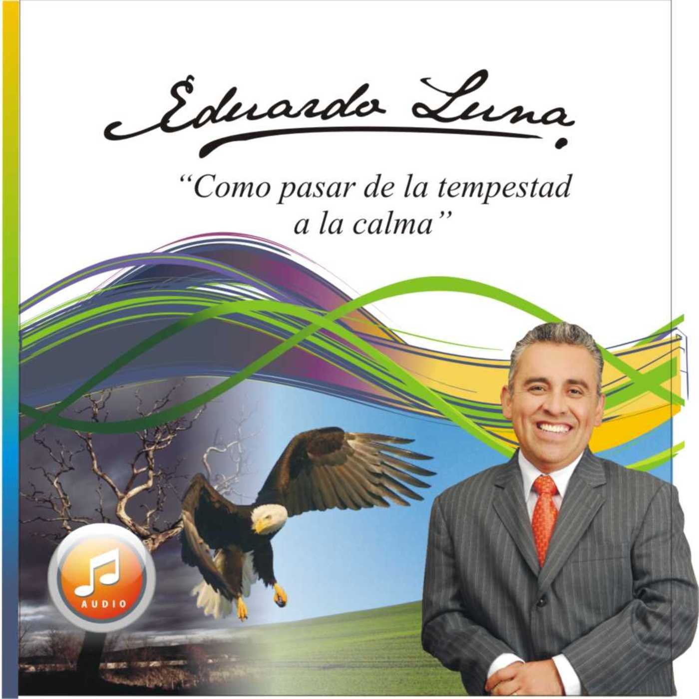 Eduardo Luna- Como pasar de la tempestad a la calm