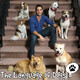 EP. 012 "Quarantine Dogs Q & A"
