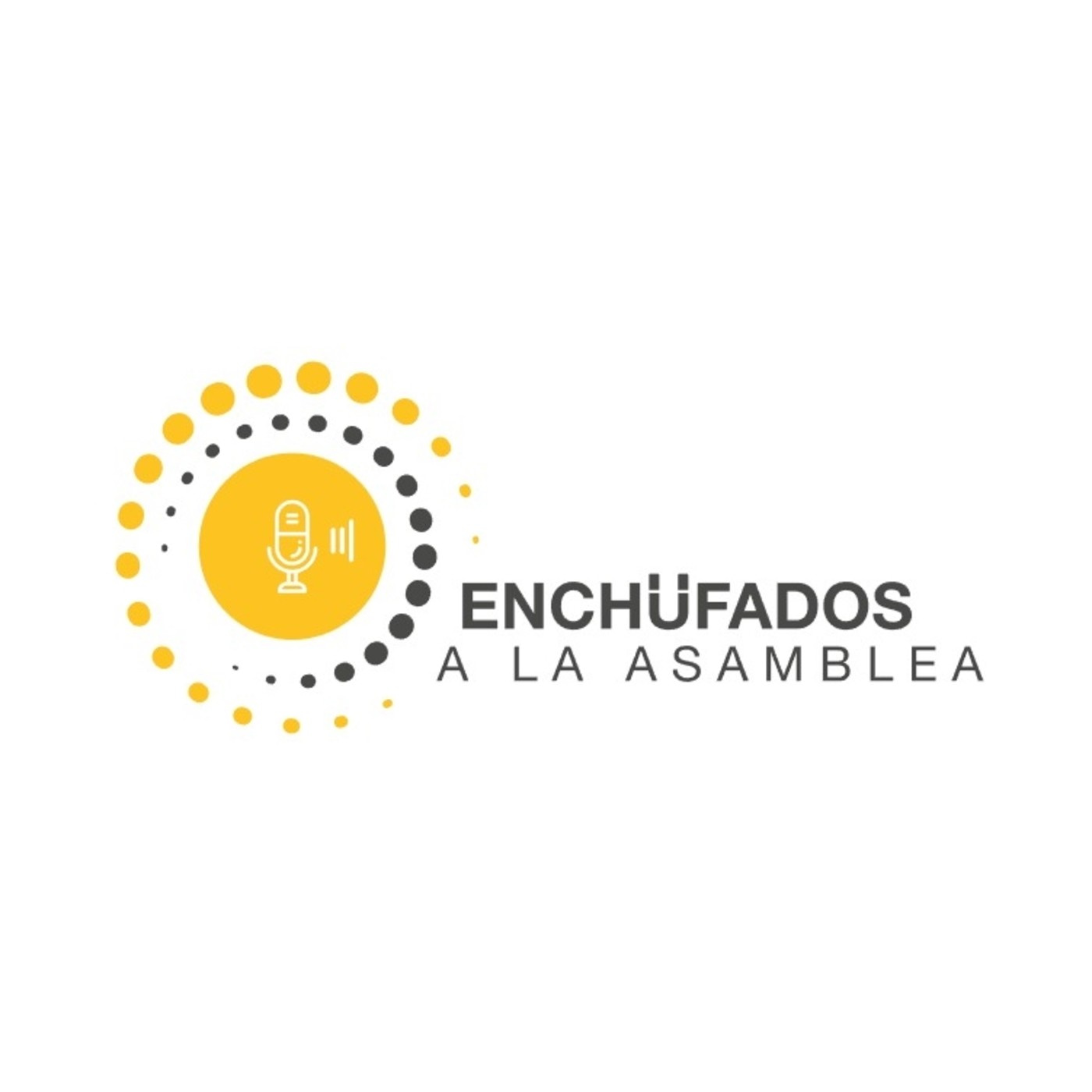 Enchufados a la Asamblea