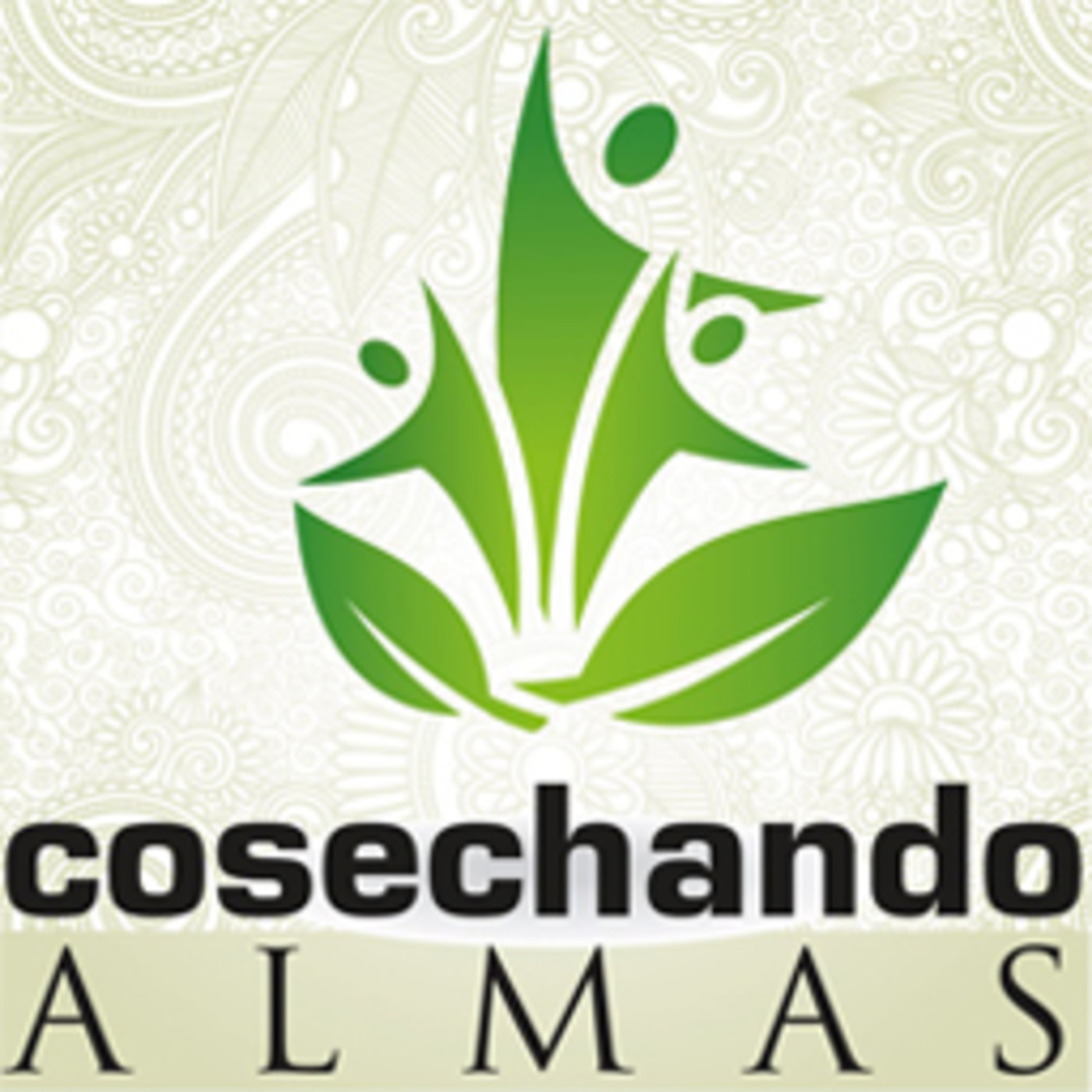 Curioseando con Alex