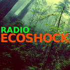 Radio Ecoshock: The End Is in Sight?