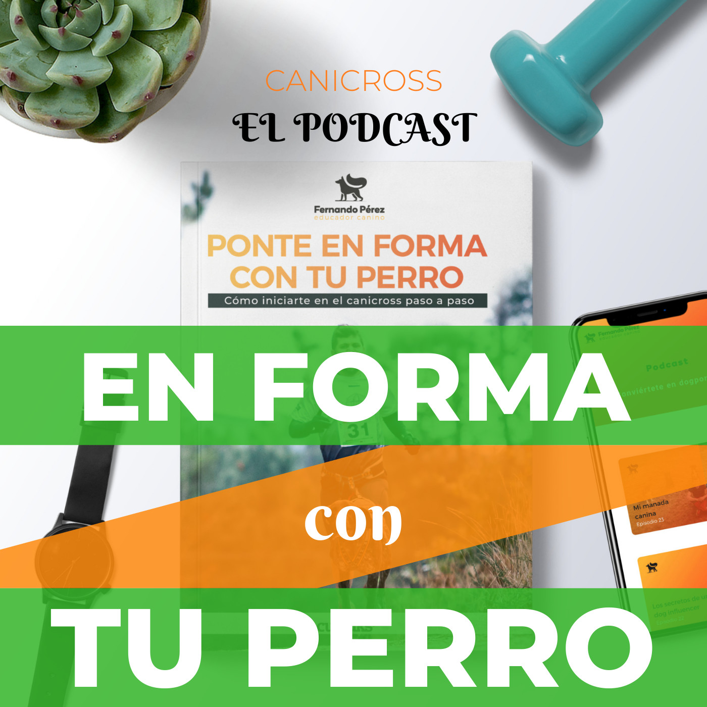 En forma con tu perro