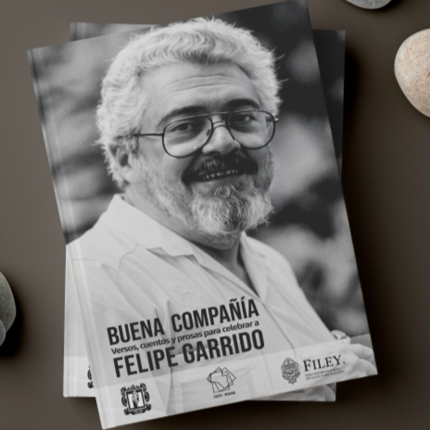 Buena compañía: versos, cuentos y prosas