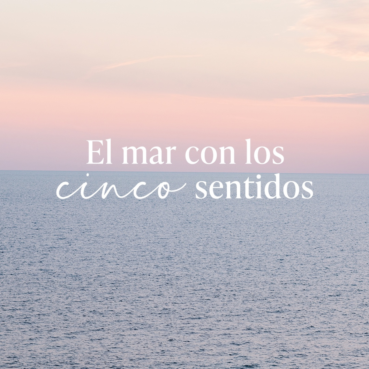 El mar con los cinco sentidos
