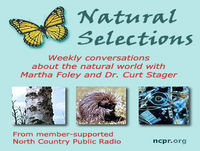 Natural Selections